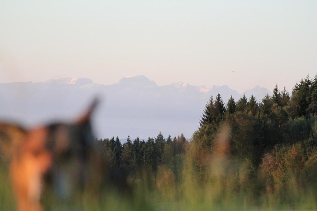 Gaestehaus Wilder Mann * Bonndorf im Schwarzwald